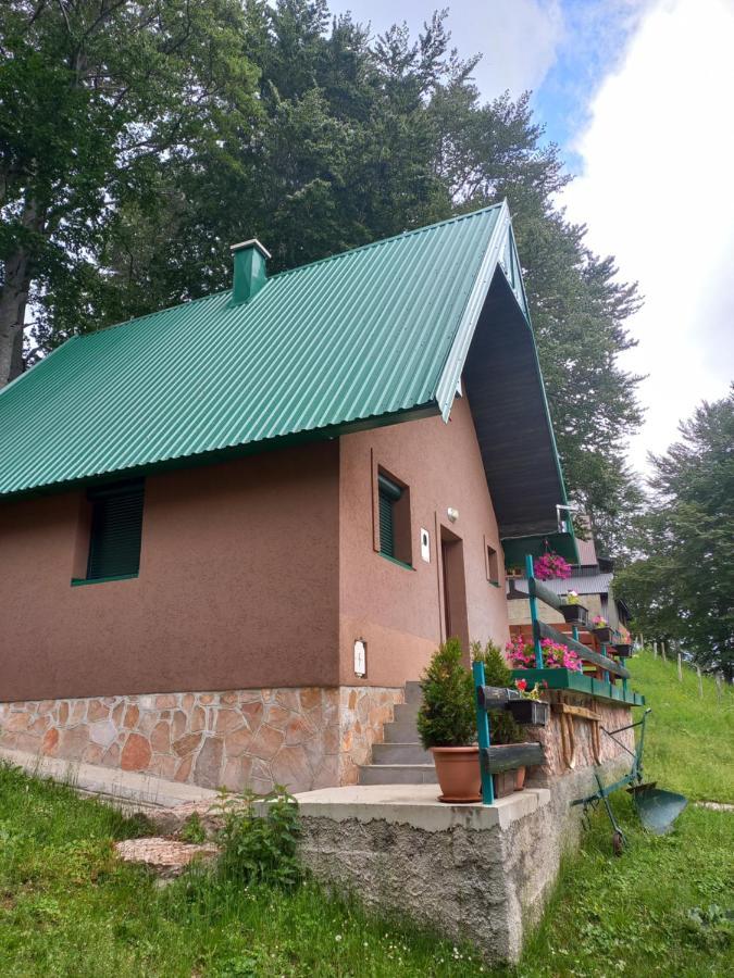 Vila Darija Žabljak Εξωτερικό φωτογραφία
